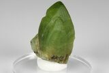 Green Olivine Peridot Crystal - Pakistan #185283-1